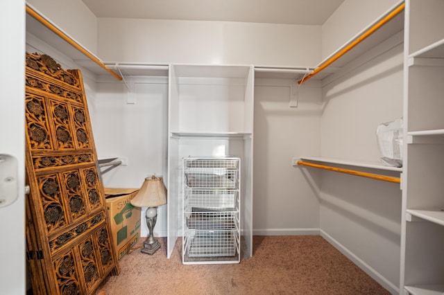 walk in closet with carpet