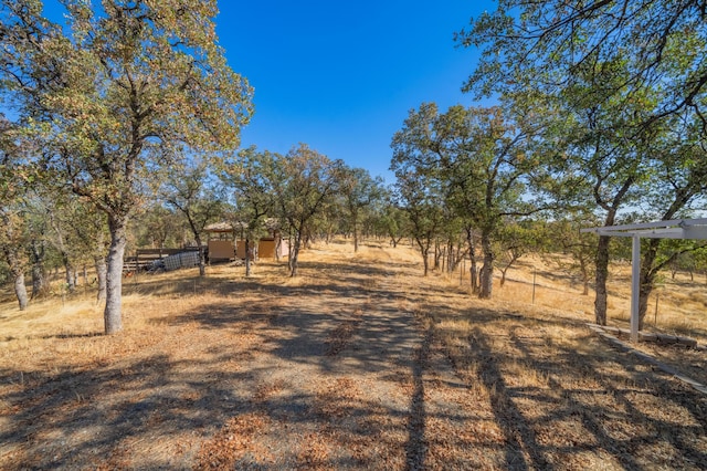 view of yard featuring a rural view