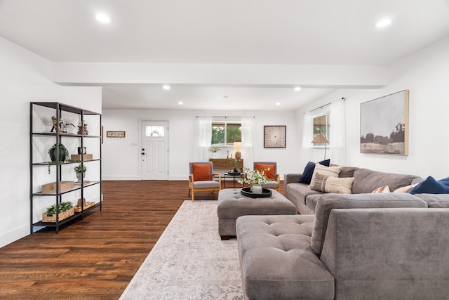 living room featuring dark hardwood / wood-style flooring