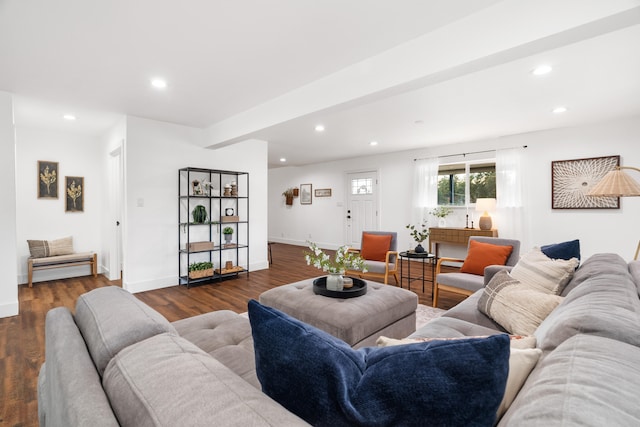 living room with dark hardwood / wood-style floors