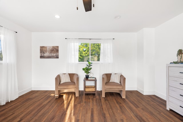 living area featuring dark hardwood / wood-style floors