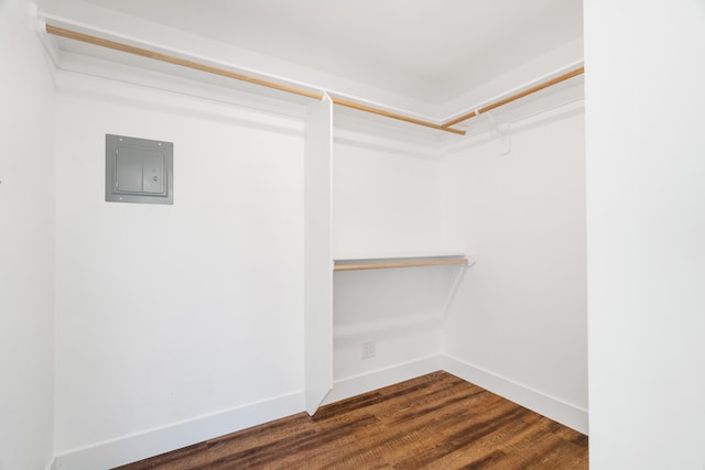 spacious closet with wood-type flooring and electric panel