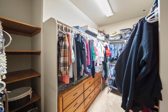 walk in closet with light colored carpet