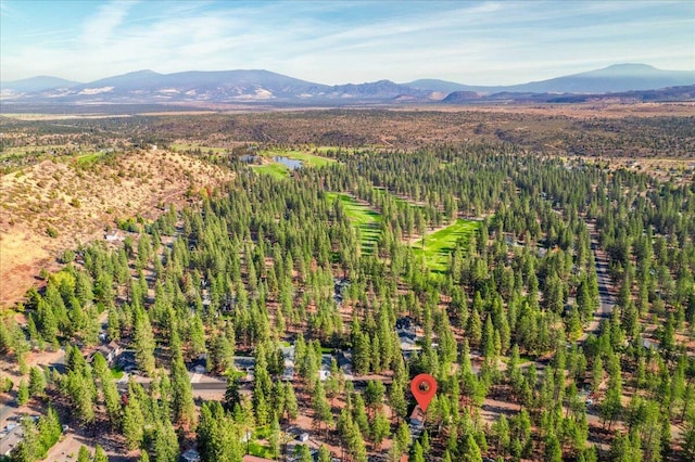 birds eye view of property featuring a mountain view