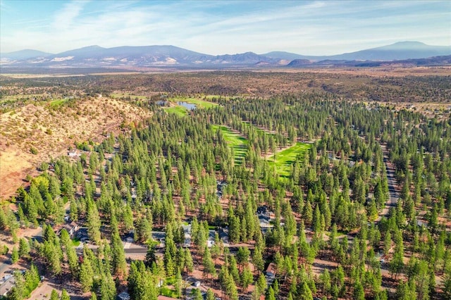 birds eye view of property featuring a mountain view