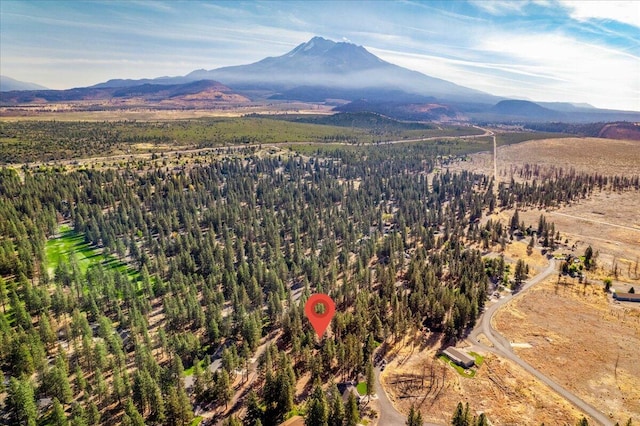 bird's eye view with a mountain view