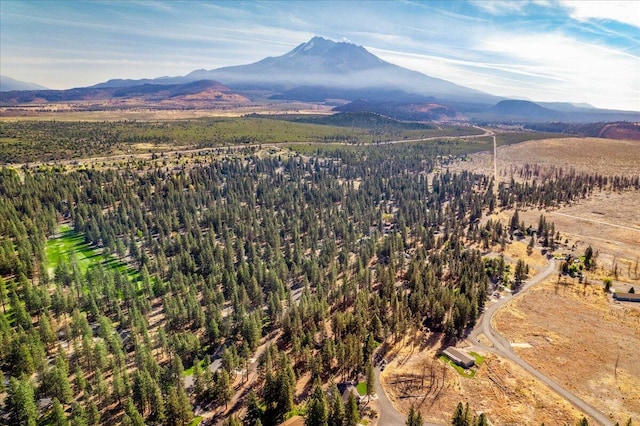 view of mountain feature