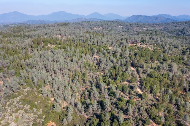 Seaman Gulch Rd, Bella Vista CA, 96008 land for sale