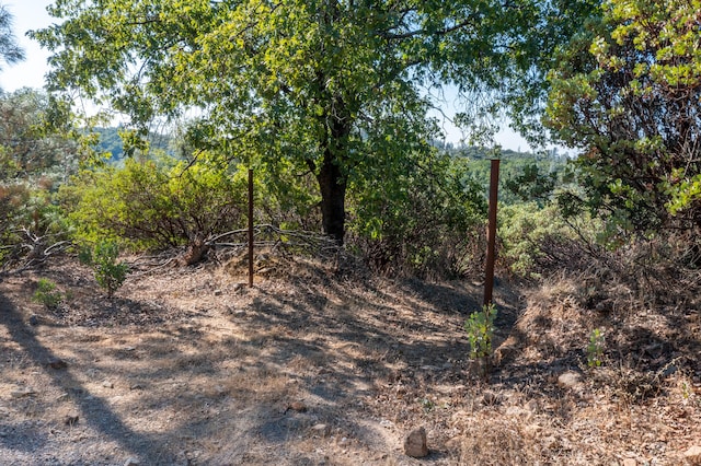 Listing photo 2 for Seaman Gulch Rd, Bella Vista CA 96008