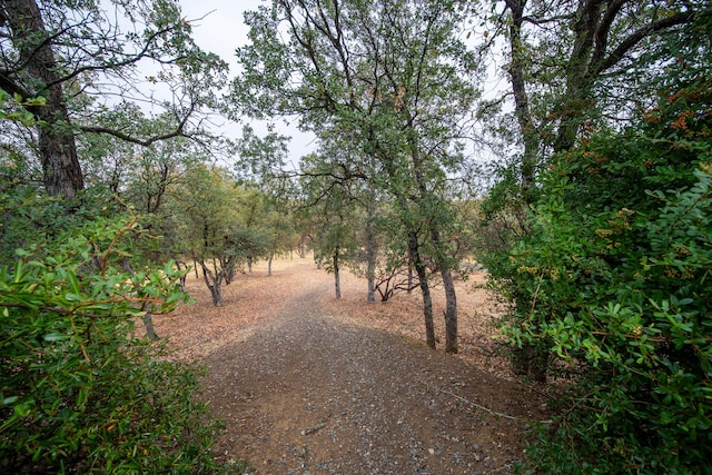 view of landscape featuring a rural view