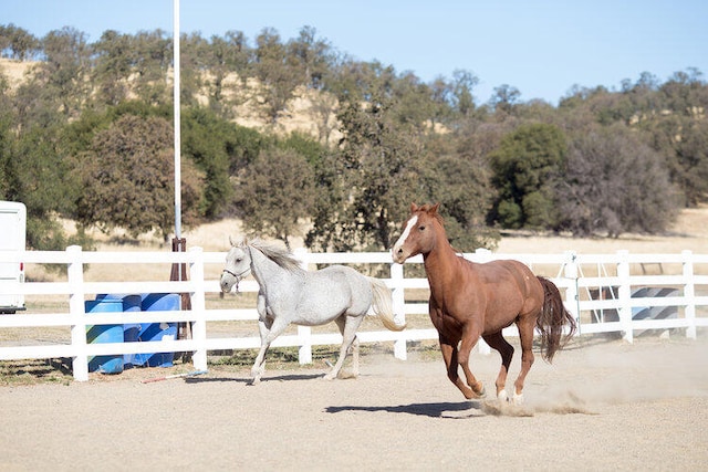 view of stable