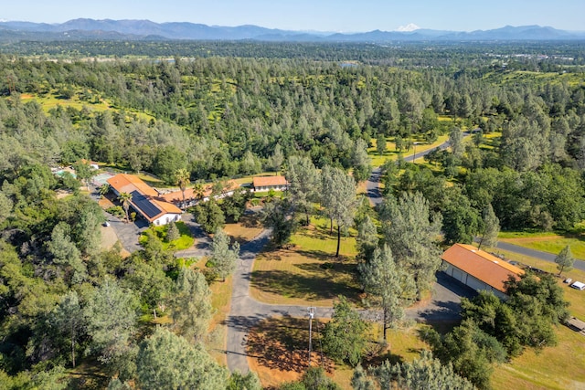 birds eye view of property with a mountain view