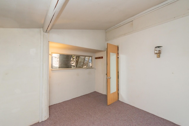 basement featuring carpet flooring