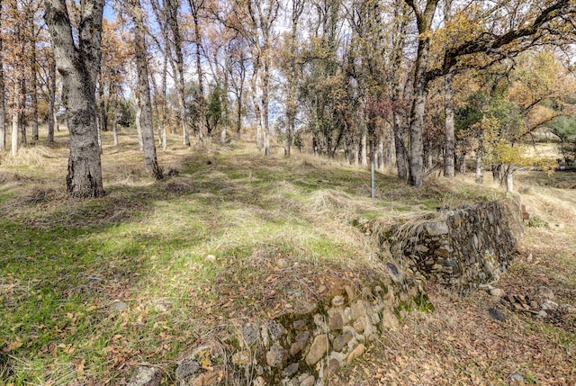 view of landscape