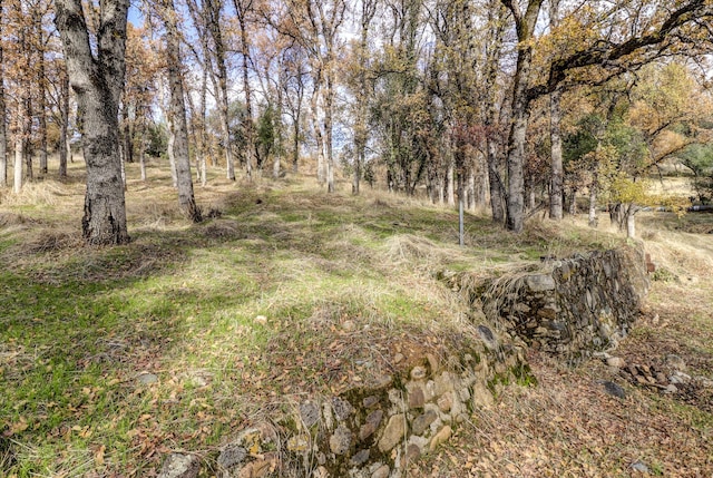 970 Branstetter Ln, Redding, CA 96001 - view of local wilderness