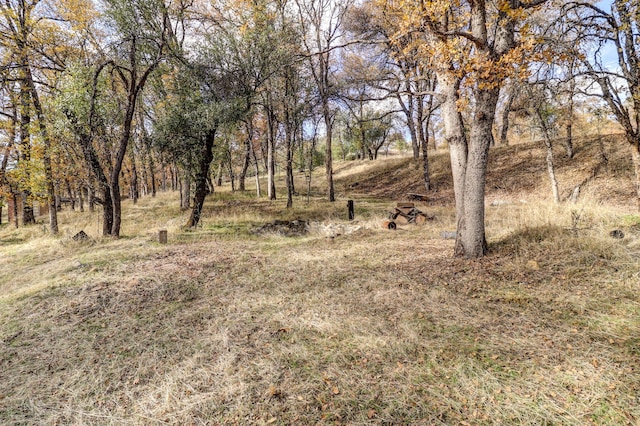 970 Branstetter Ln, Redding, CA 96001 - view of undeveloped land