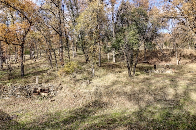 970 Branstetter Ln, Redding, CA 96001 - view of undeveloped land