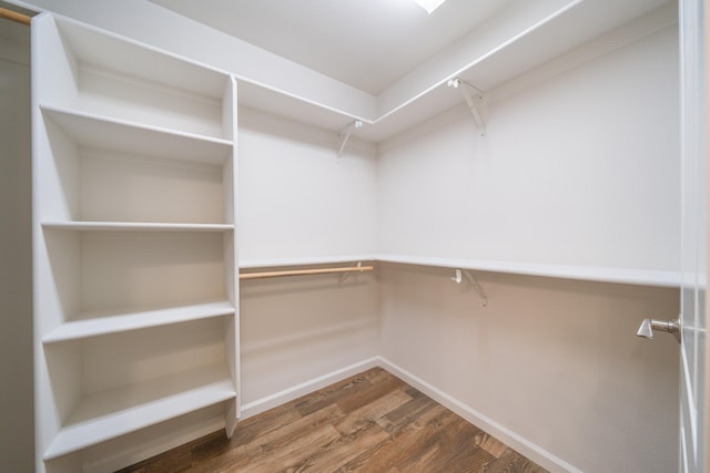 spacious closet featuring hardwood / wood-style flooring