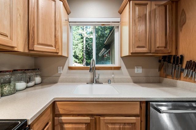 kitchen with black range with electric cooktop, sink, and dishwasher