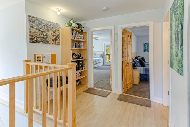 hallway featuring wood-type flooring