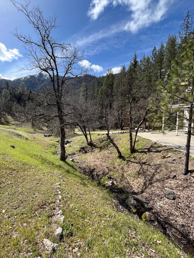 view of landscape