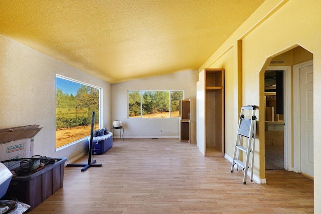 interior space with light hardwood / wood-style floors, a textured ceiling, and vaulted ceiling