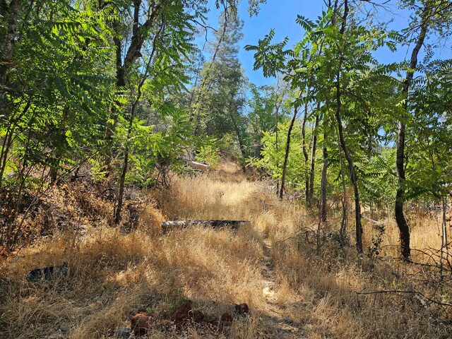 1817 Kenyon Dr, Redding, CA 96001