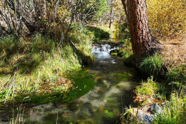 view of nature with a water view