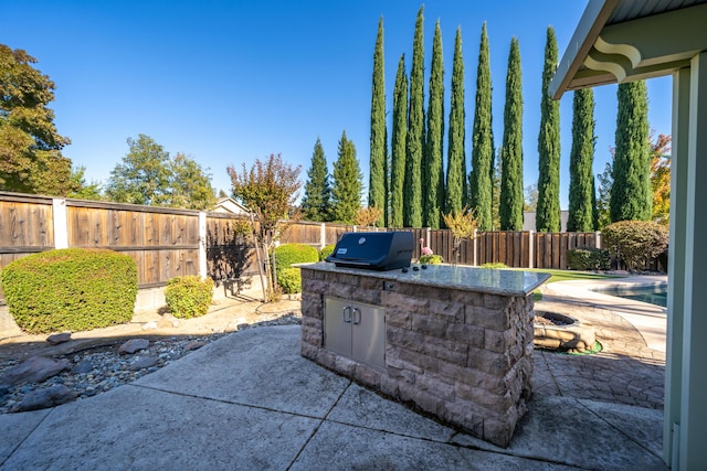 view of patio / terrace with a fenced backyard and area for grilling