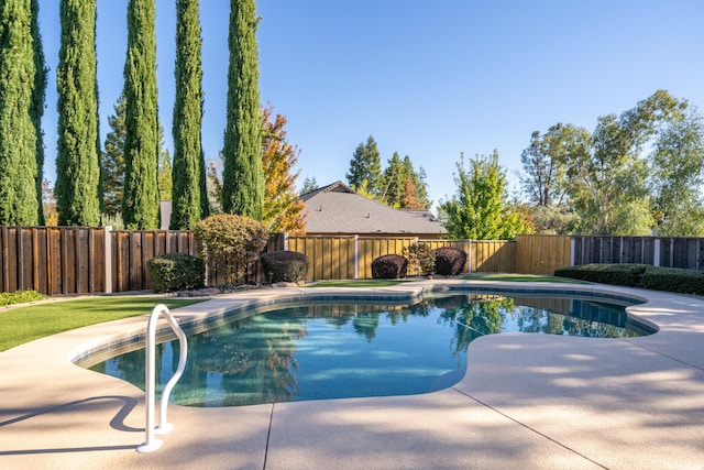 view of swimming pool with a fenced in pool, a fenced backyard, and a patio