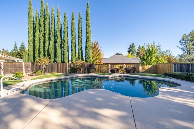 view of swimming pool with a patio area, a fenced backyard, and a fenced in pool