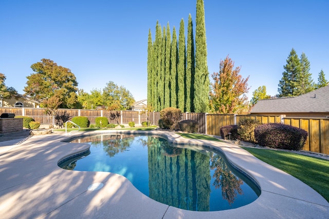 view of swimming pool featuring a fenced in pool, a patio area, and a fenced backyard