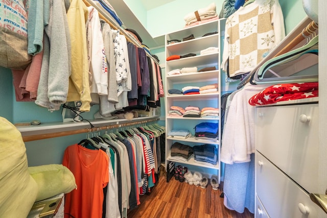 walk in closet featuring wood finished floors