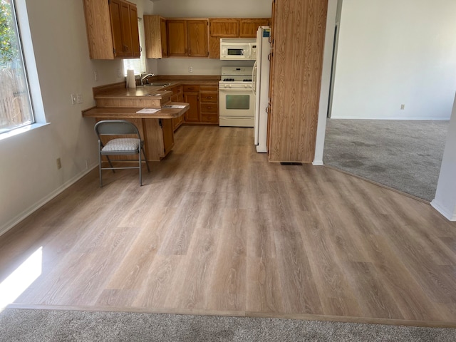 kitchen featuring sink, light wood-type flooring, and white appliances