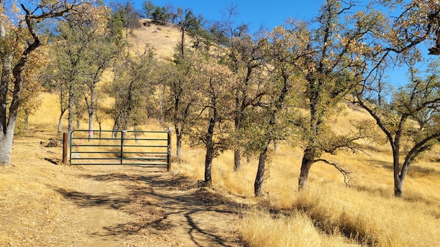 Listing photo 3 for LOT73 Straight Arrow Rd, Ono CA 96047