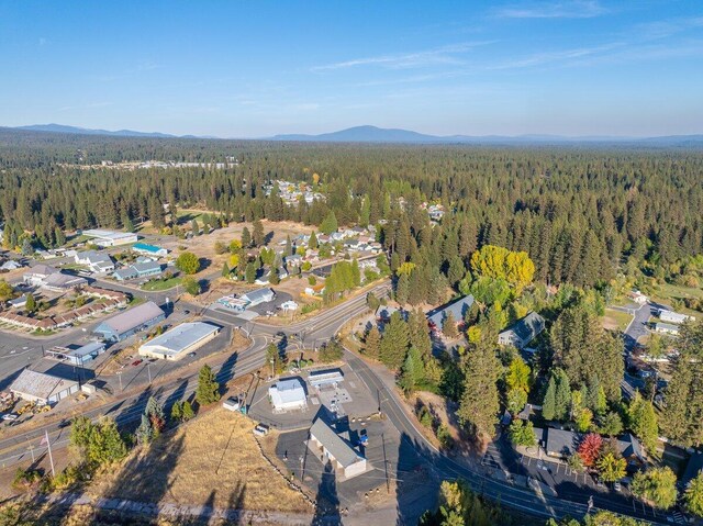 110 Squaw Valley Rd, Mccloud, CA 96057 - photo 32