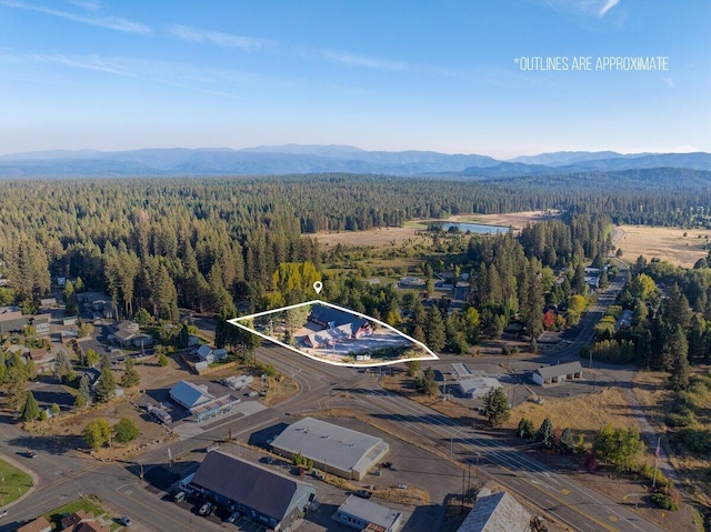 bird's eye view featuring a mountain view