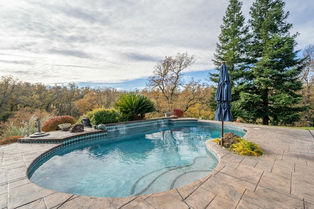 view of swimming pool featuring a patio