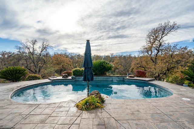 view of pool with a patio and a diving board