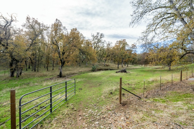 view of yard featuring a rural view