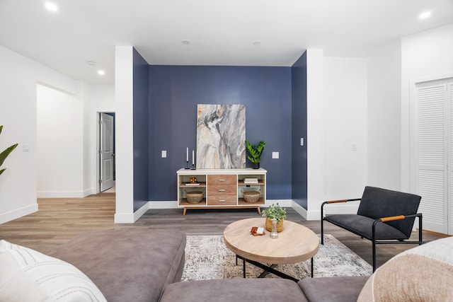 living room featuring hardwood / wood-style flooring