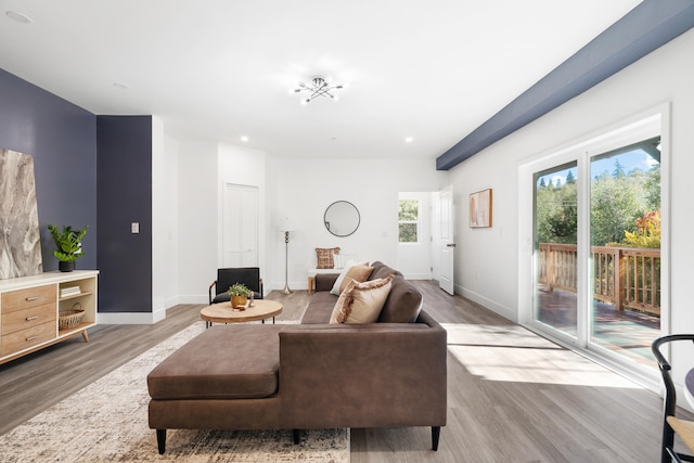 living room with hardwood / wood-style flooring