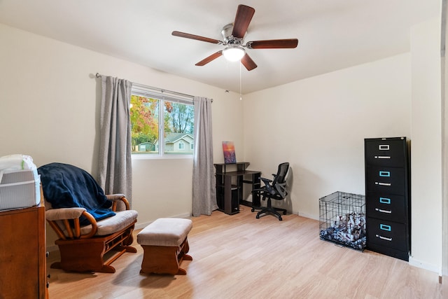 office featuring ceiling fan and light wood-type flooring