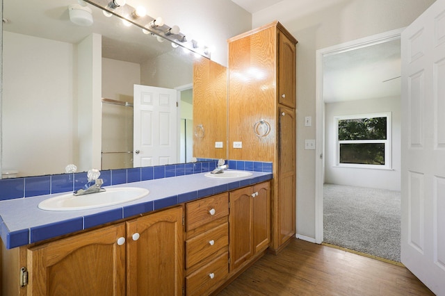 bathroom with vanity and wood-type flooring