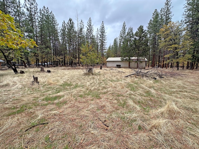 view of yard featuring a rural view