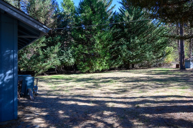 view of yard with a storage unit