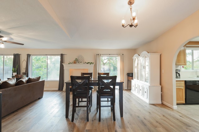 dining room featuring ceiling fan with notable chandelier, light hardwood / wood-style floors, and a healthy amount of sunlight