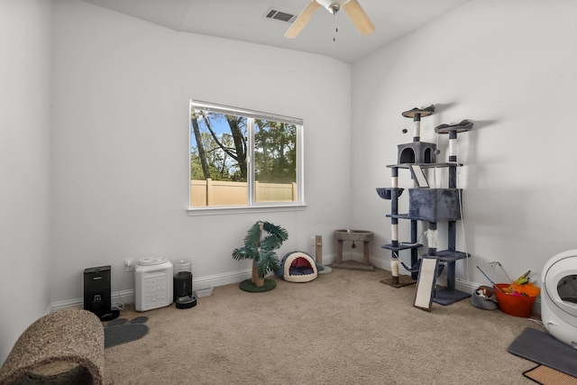 workout room featuring visible vents, carpet flooring, baseboards, and ceiling fan