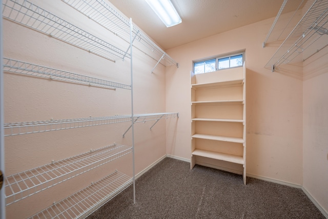 spacious closet featuring dark colored carpet