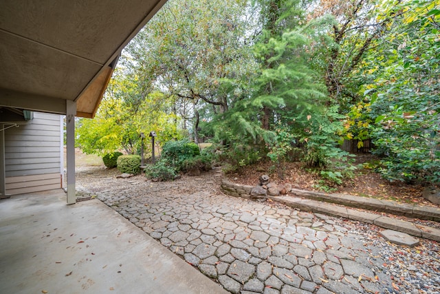 view of yard with a patio